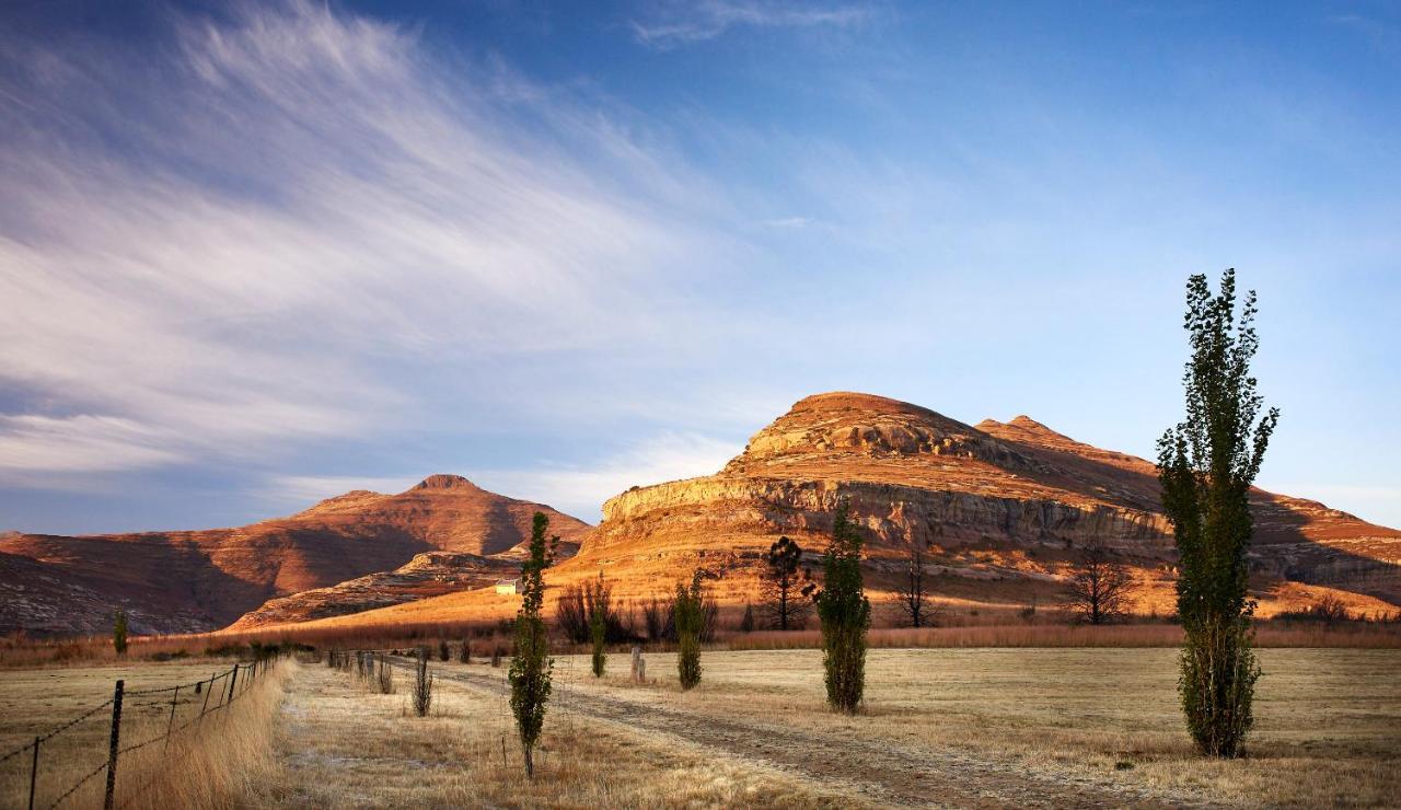 Dynasty Red Mountain Ranch Appartement Clarens Buitenkant foto