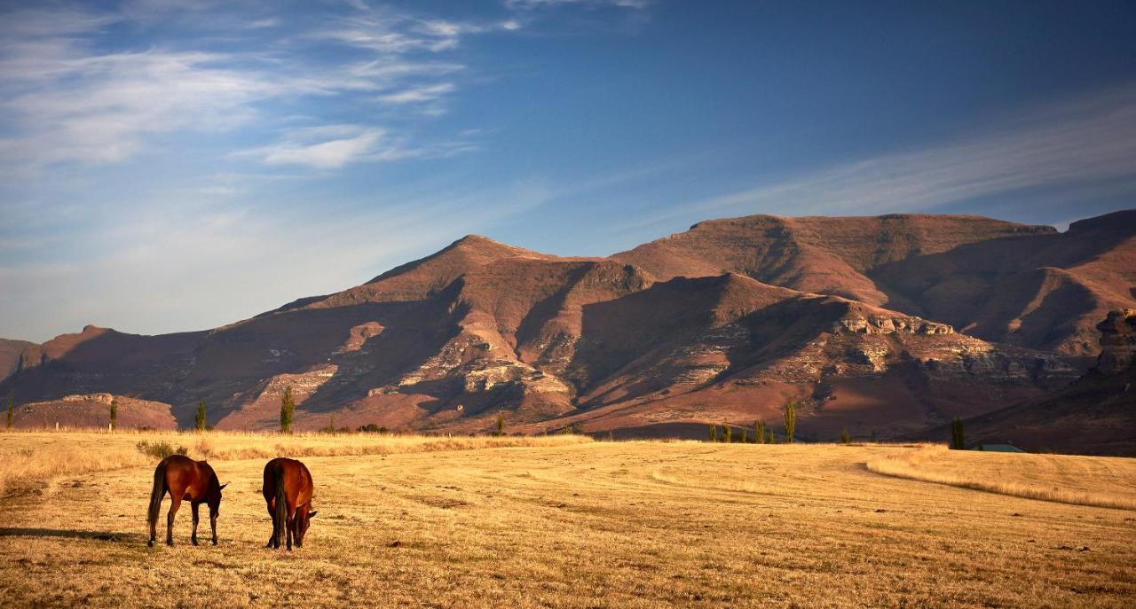 Dynasty Red Mountain Ranch Appartement Clarens Buitenkant foto