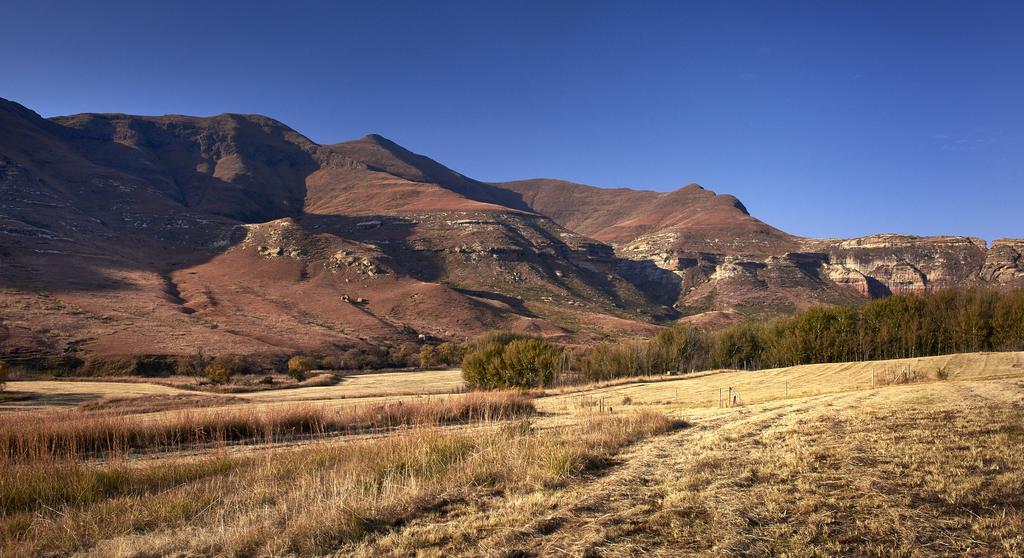 Dynasty Red Mountain Ranch Appartement Clarens Buitenkant foto