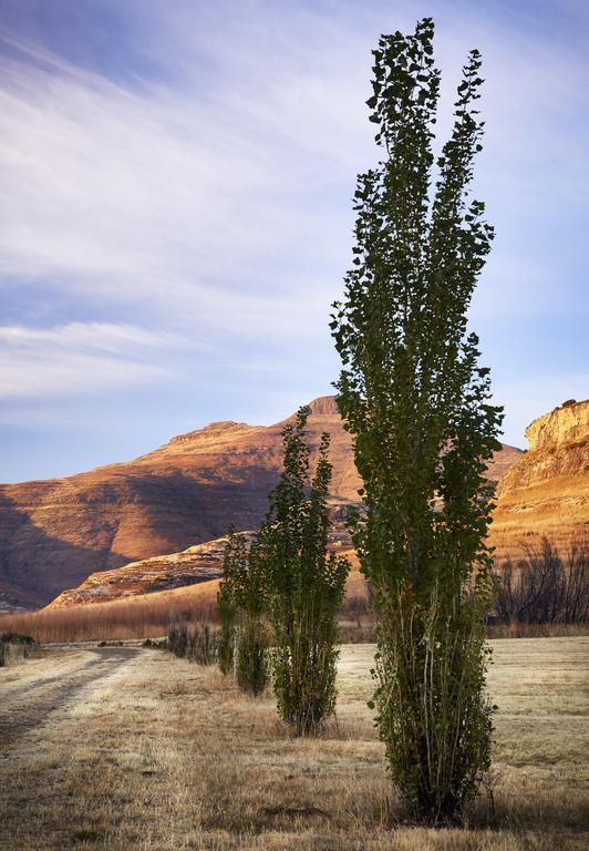 Dynasty Red Mountain Ranch Appartement Clarens Buitenkant foto