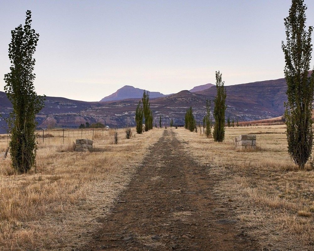 Dynasty Red Mountain Ranch Appartement Clarens Buitenkant foto