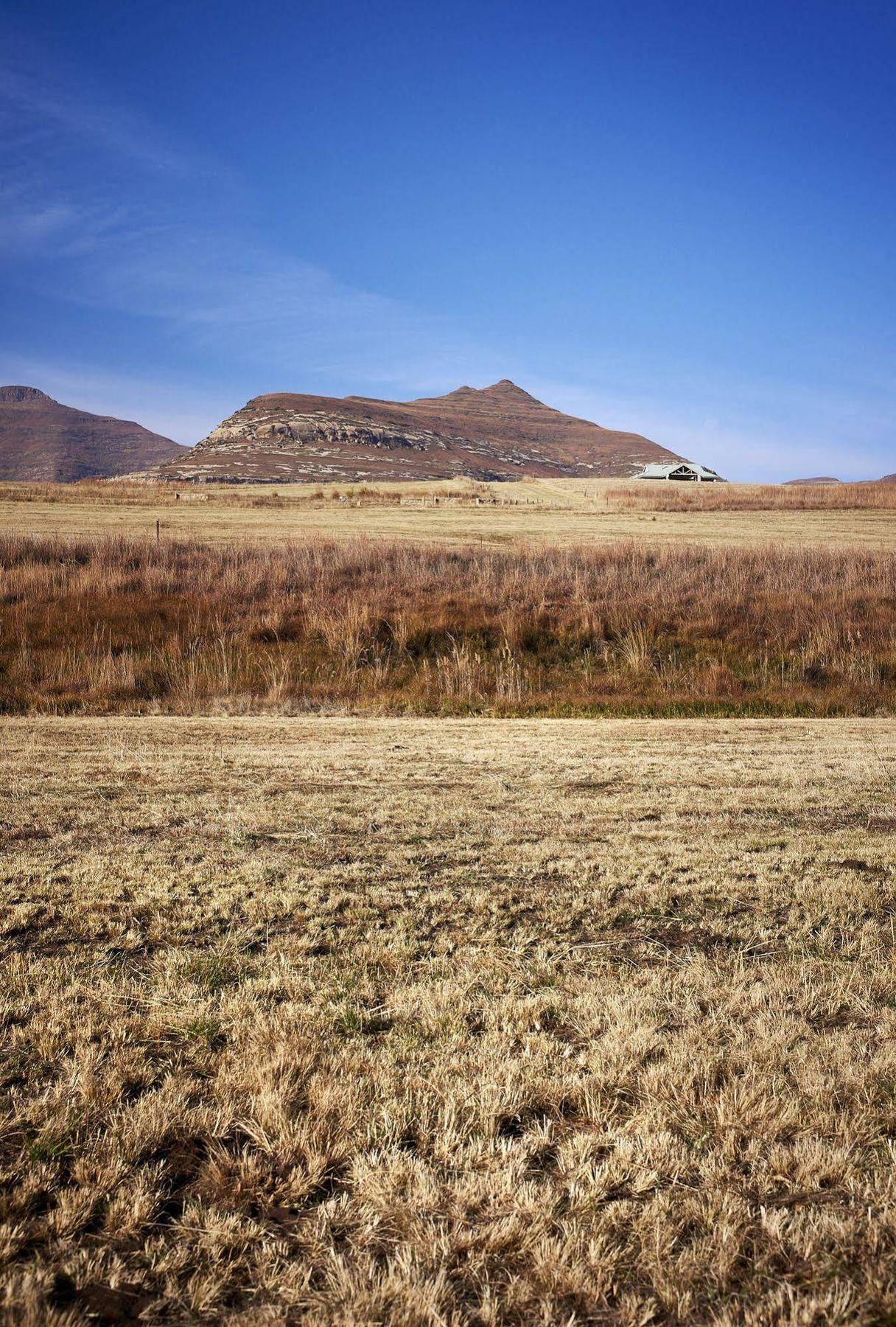 Dynasty Red Mountain Ranch Appartement Clarens Buitenkant foto