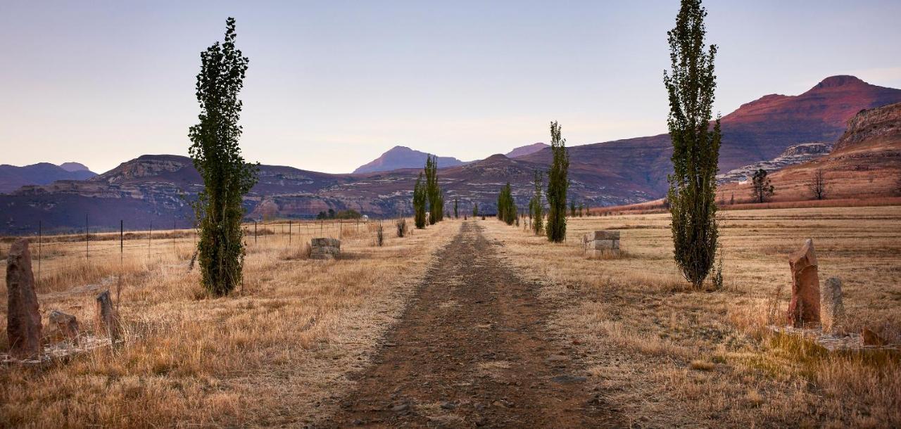 Dynasty Red Mountain Ranch Appartement Clarens Buitenkant foto