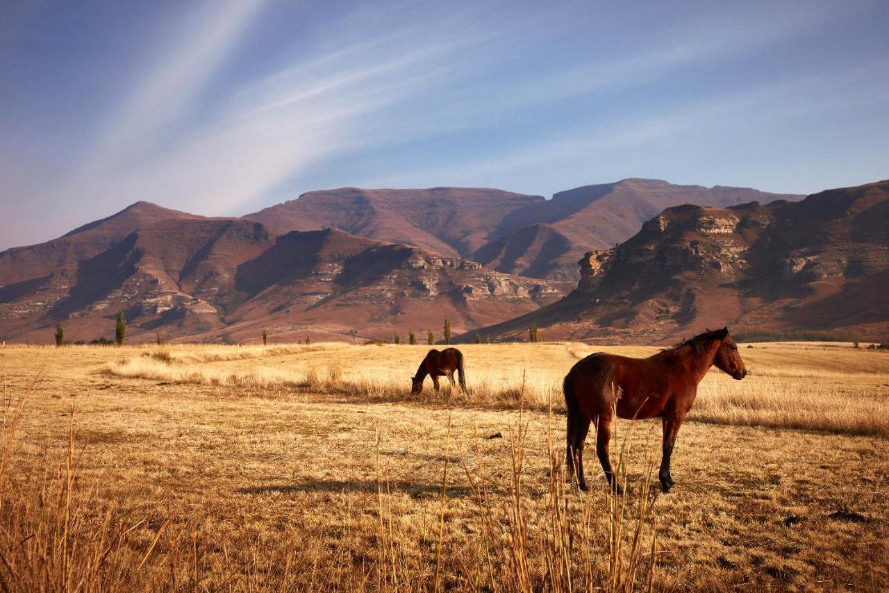 Dynasty Red Mountain Ranch Appartement Clarens Buitenkant foto