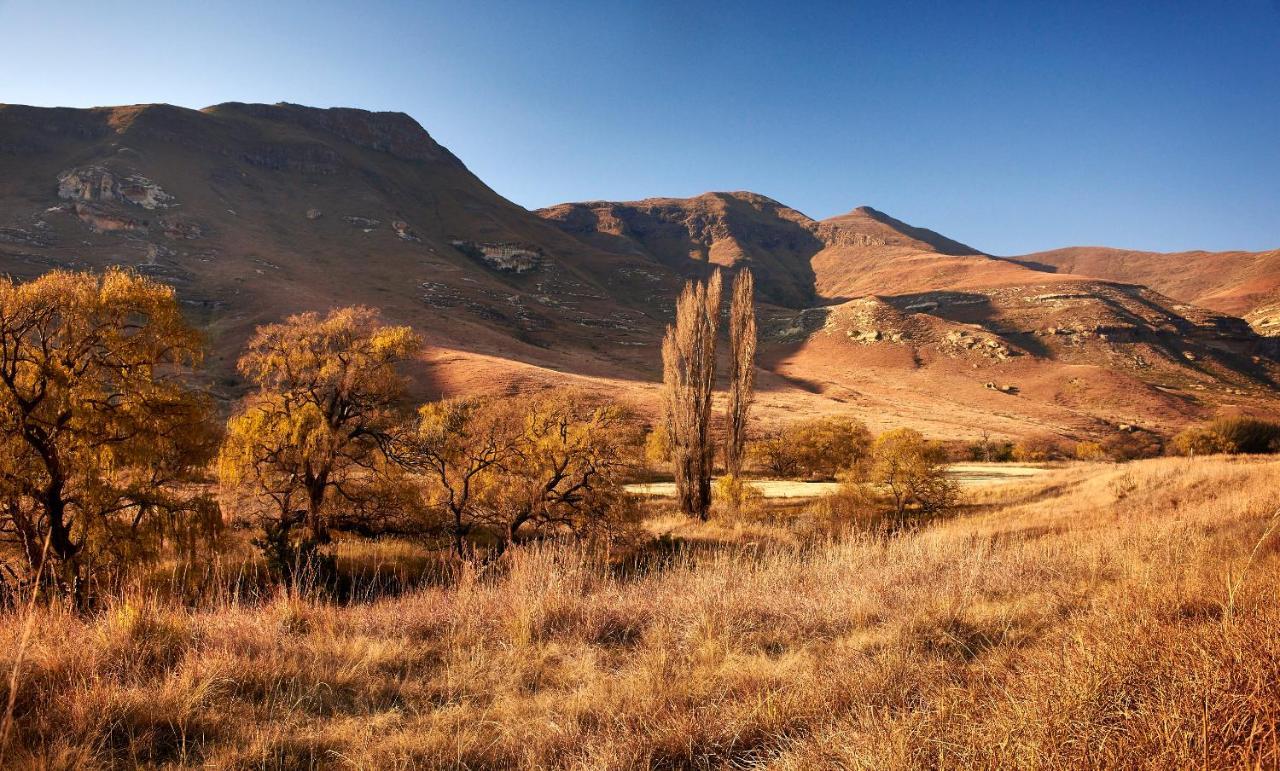 Dynasty Red Mountain Ranch Appartement Clarens Buitenkant foto